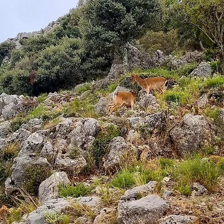 Casa Rural Grazalema *