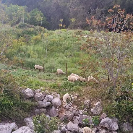 Holiday home Casa Rural Grazalema